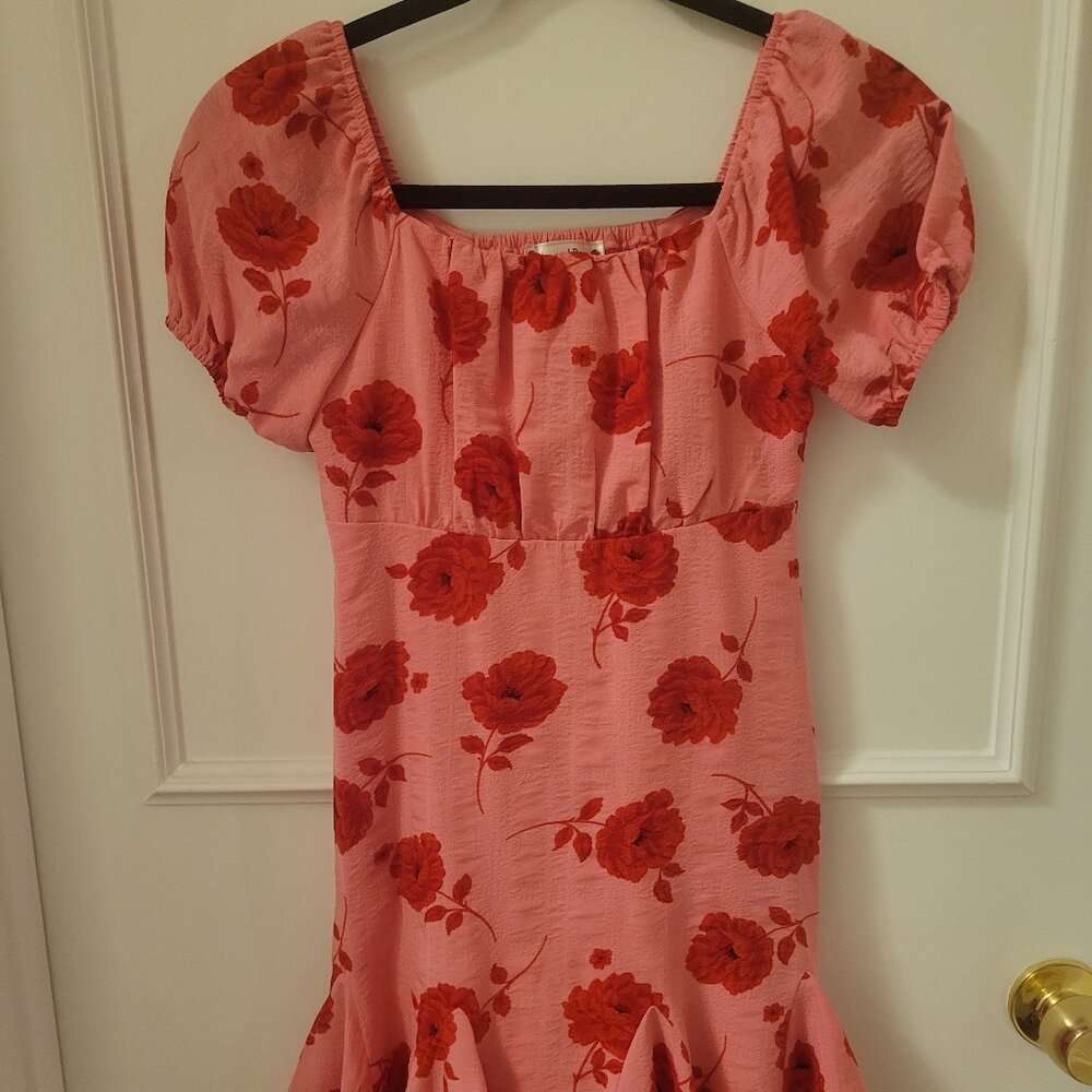 Girl's Poppies and Roses Pink Dress Size M